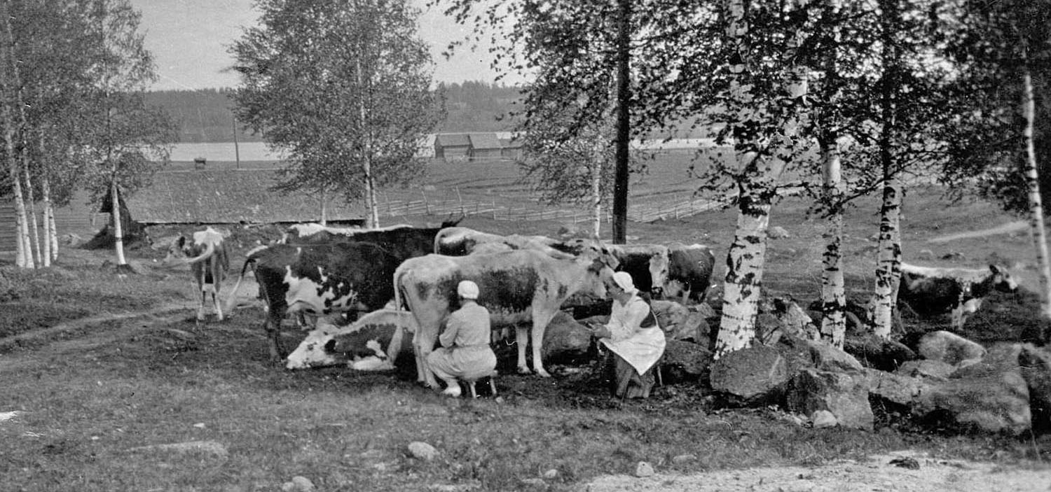 Päivälypsyllä 1937